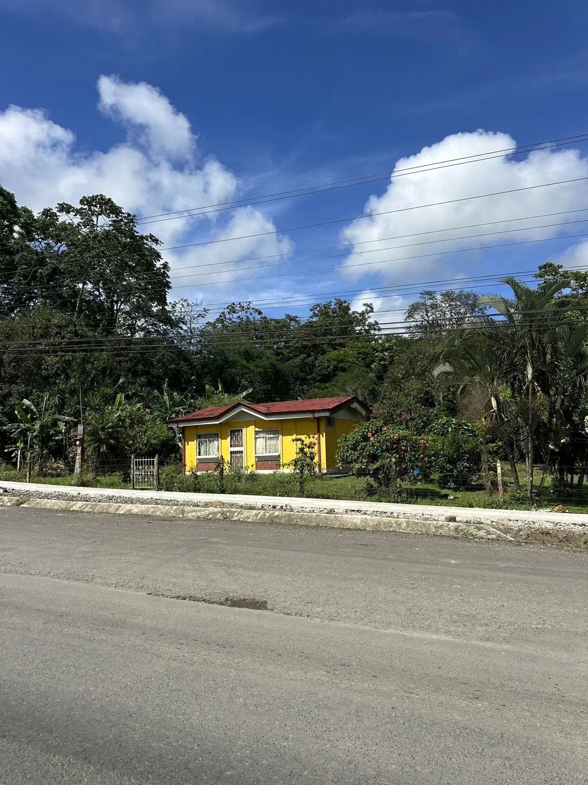 Casa amarilla con zacate y palmas, frente a calle asfaltada en Aguas Zarcas