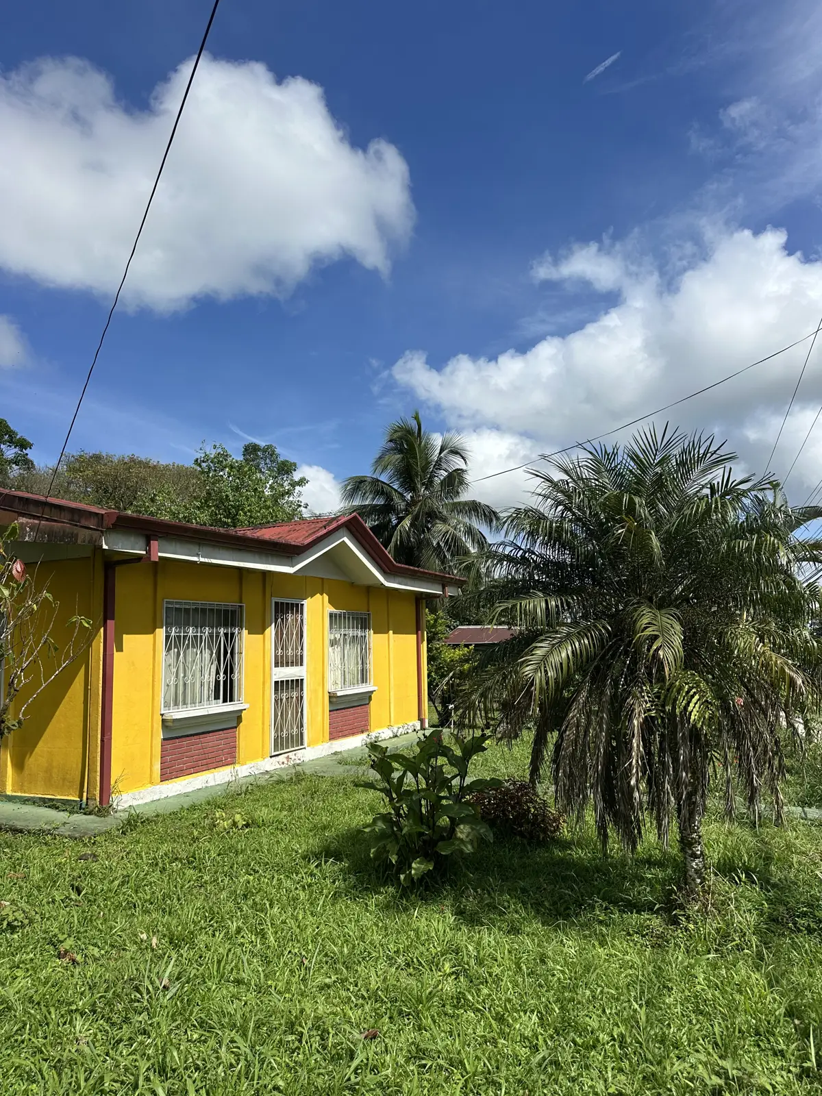 Casa de la propiedad con jardín y palmas en Aguas Zarcas