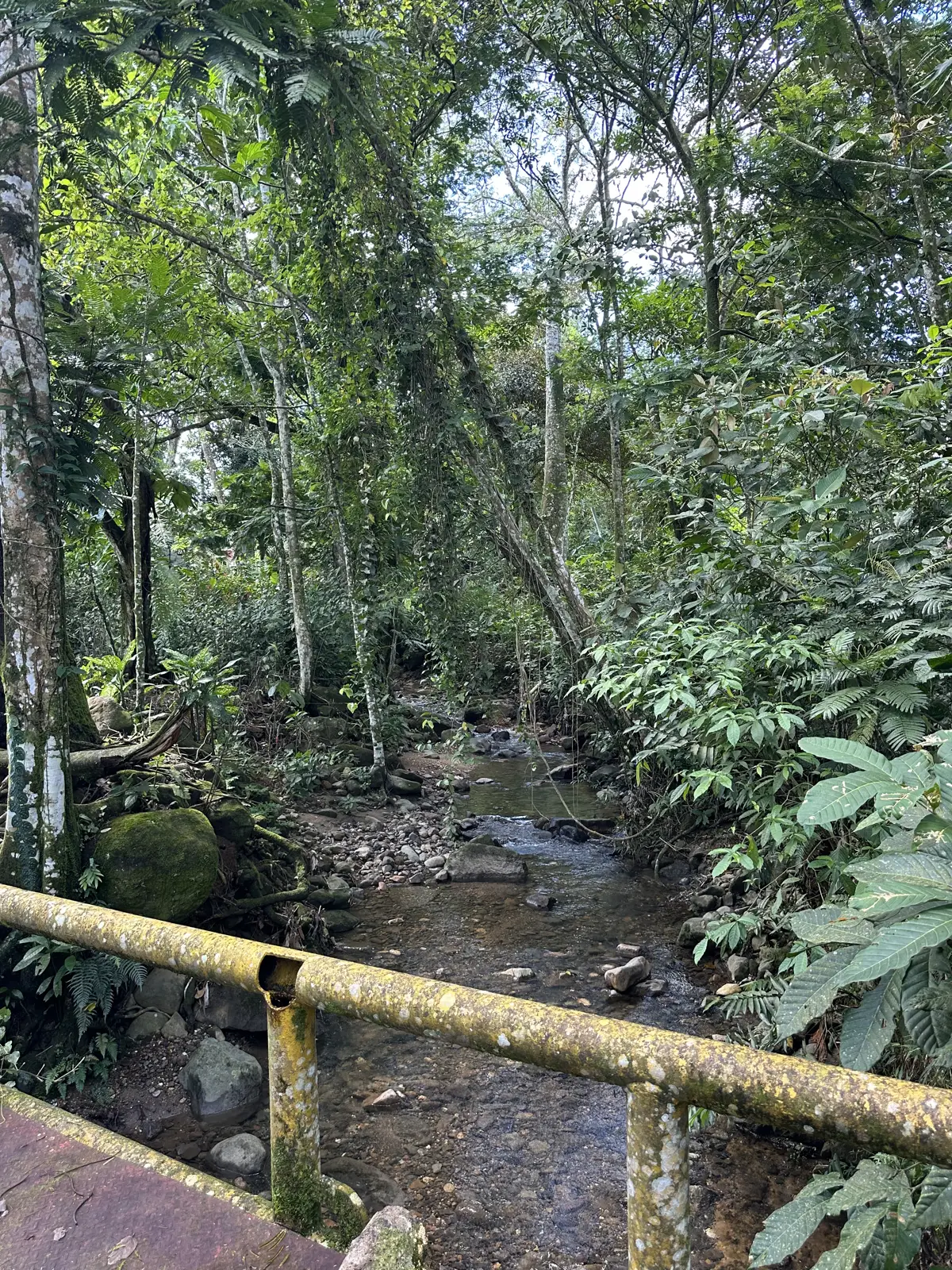 Naciente de agua que cruza la propiedad, con puente