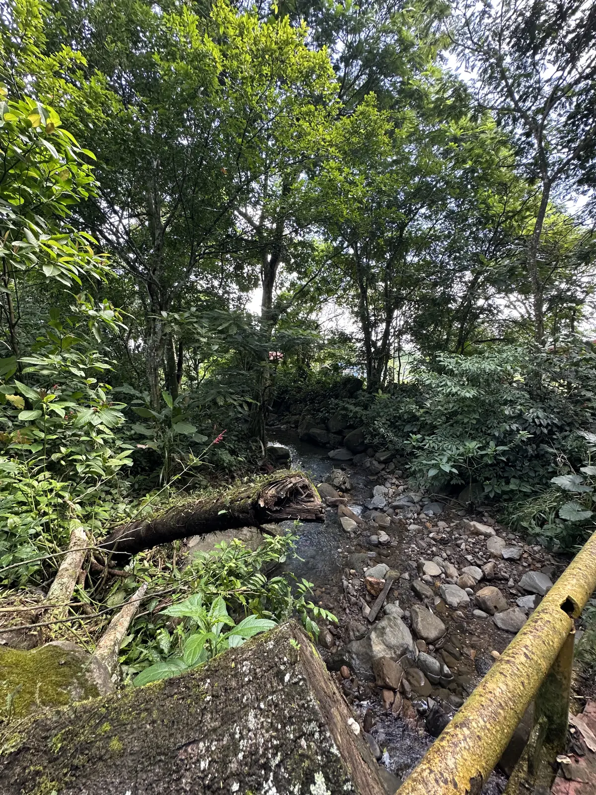 Cauce de agua natural con rocas en la finca