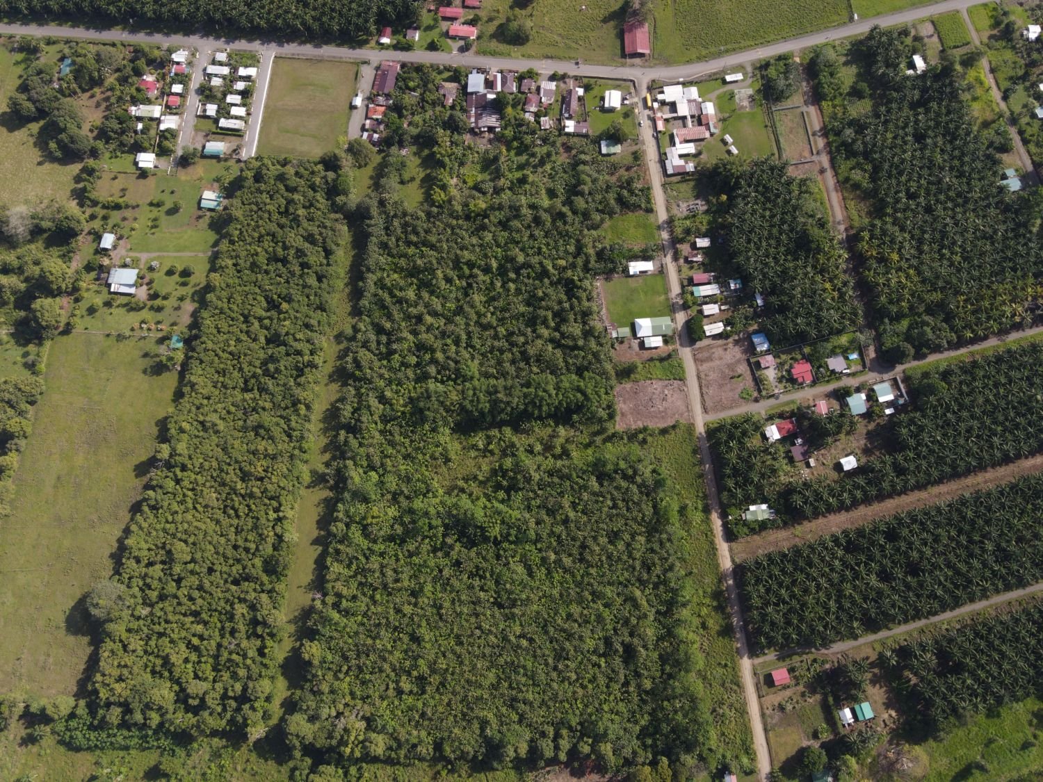 Vista aérea del bloque de terreno plano con tacotal, antigua plantación de teca