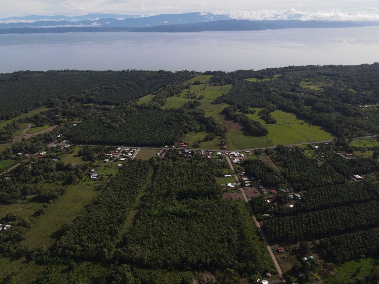 Vista aérea de Cañaza, Puerto Jiménez: zona de la finca, con calles, la escuela y plantaciones de palma alrededor
