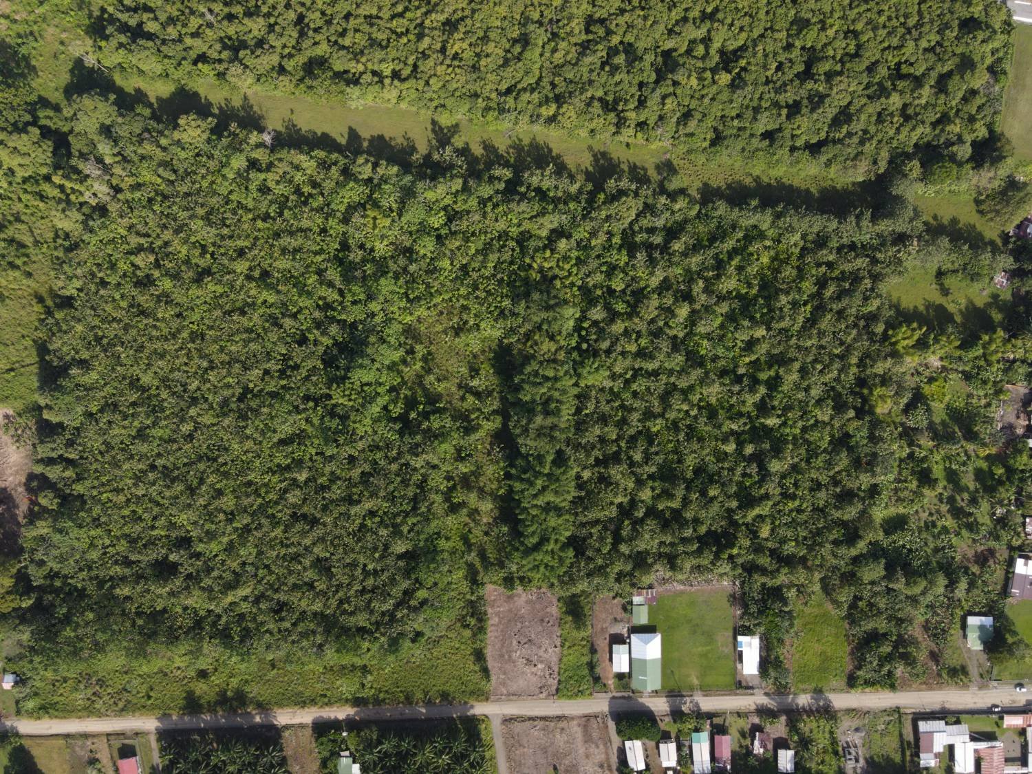 Vista aérea vertical del terreno plano con tacotal y su frente a calle pública en Cañaza