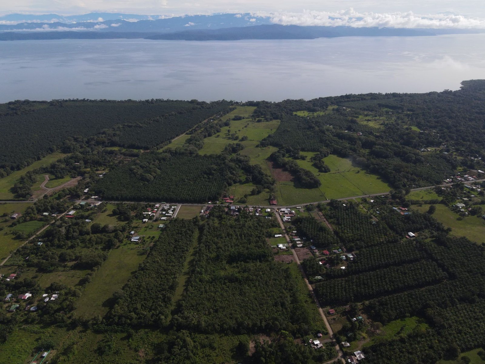 Panorámica aérea de Cañaza con el cruce de calles, potreros y plantaciones de palma aceitera