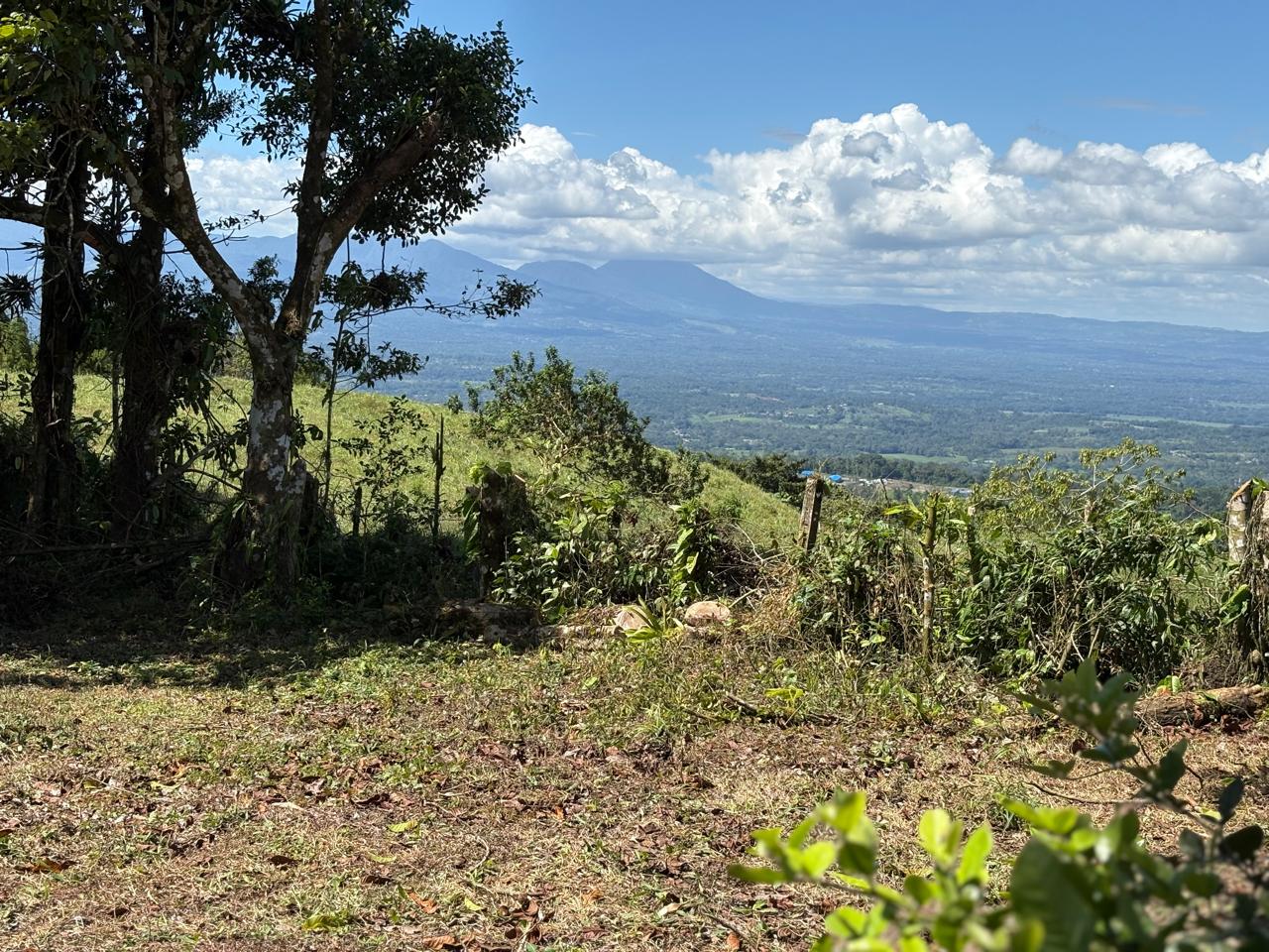Terreno en enero 2026, vista a la montaña