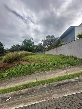 Lote Mf253, vista desde la calle