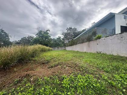 Lote Mf253, otro ángulo