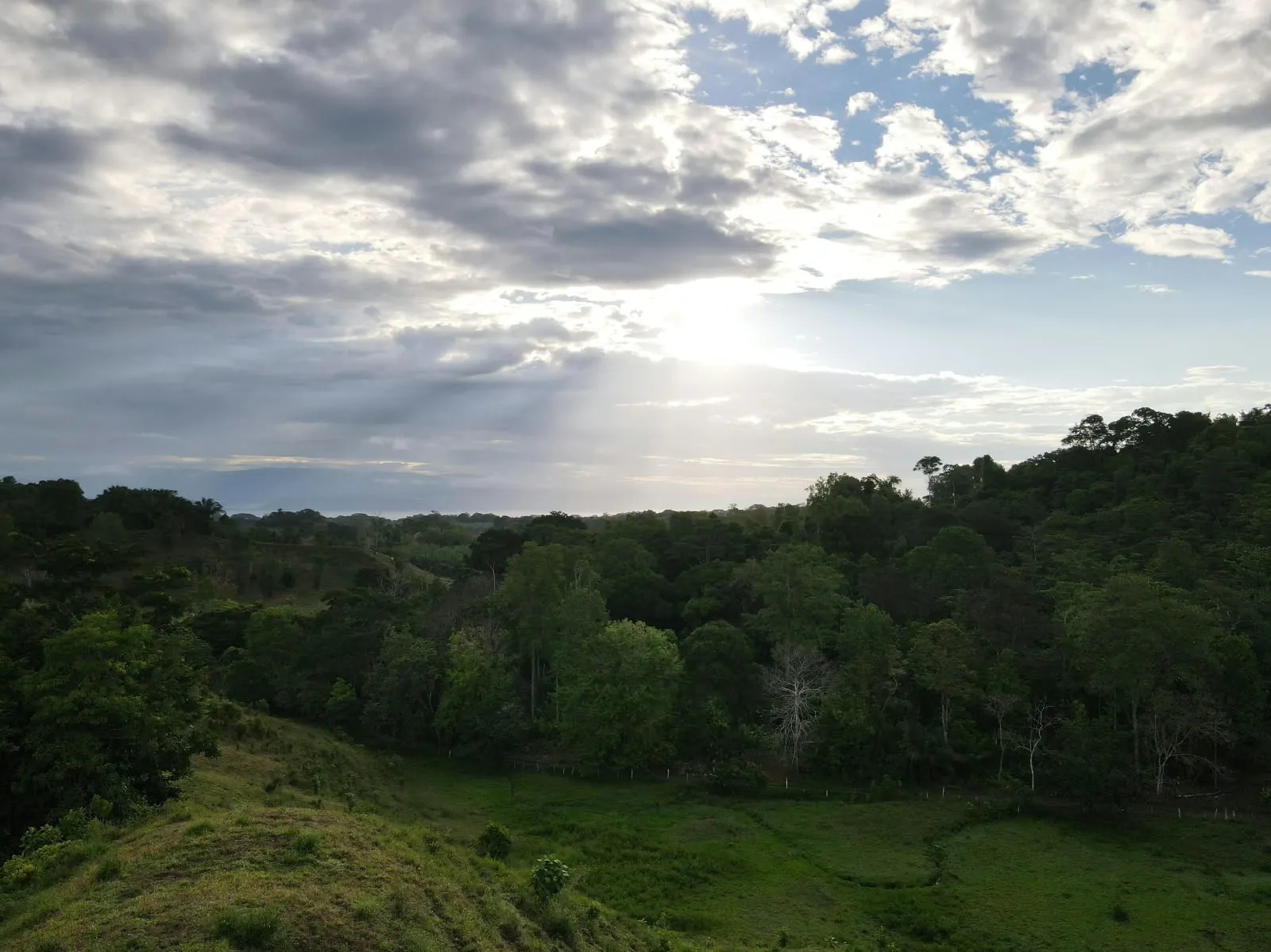 Pasto y bosque con vista hacia el Golfo Dulce